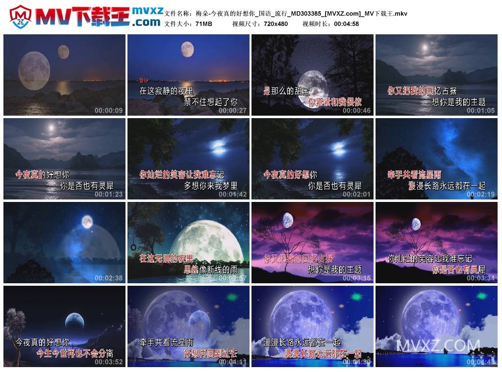 梅朵-今夜真的好想你_国语_流行_MD303385